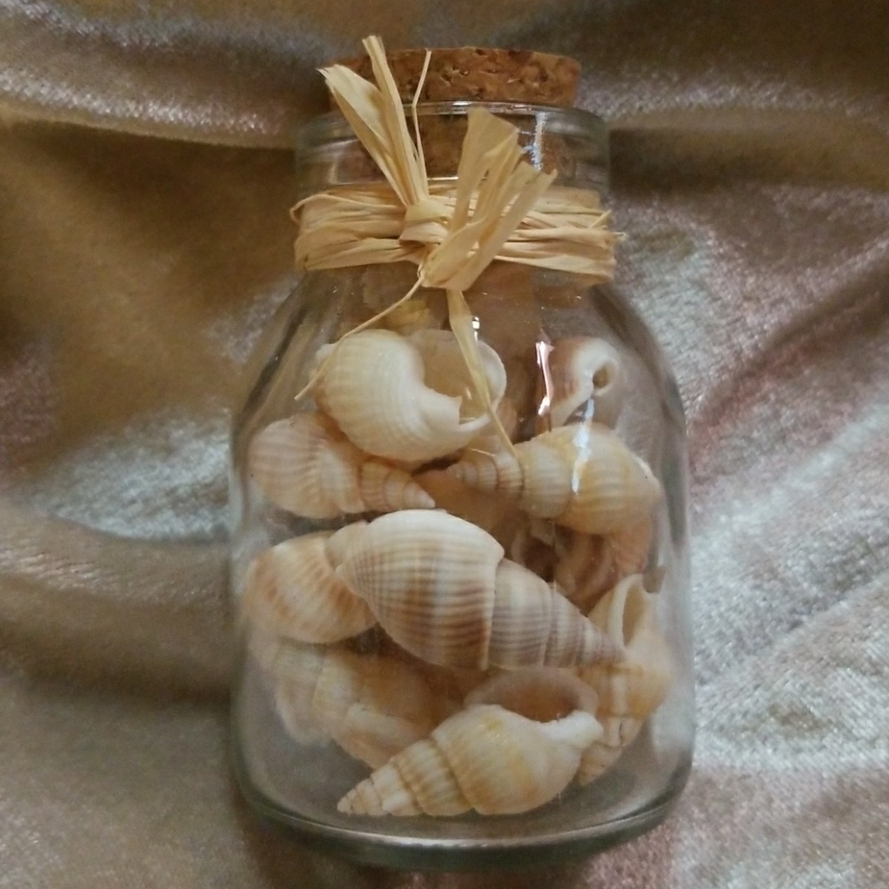 JAR OF SEASHELLS